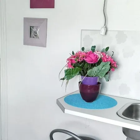 Cosy A Avec Vue Sur Jardin 9 M² Apartamento *